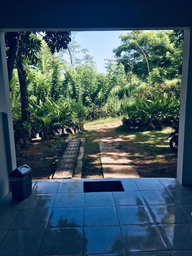 Rimba Bungalow Apartman Kuta  Kültér fotó